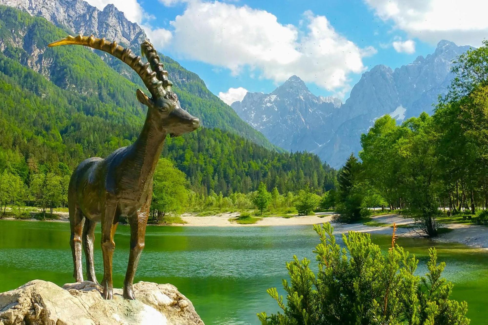Alpine Retreat Gaja Kranjska Gora - Happy Rentals 외부 사진