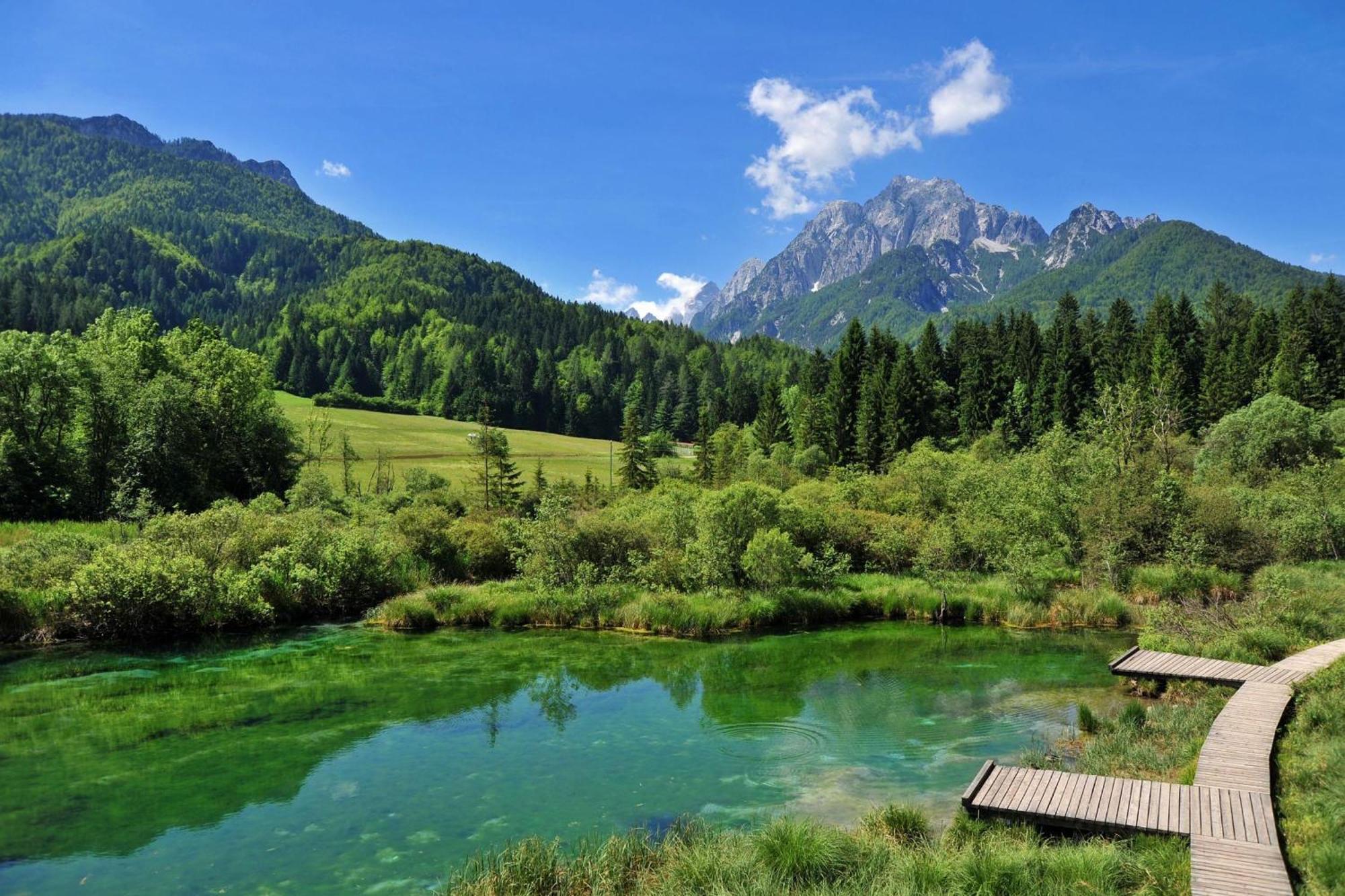 Alpine Retreat Gaja Kranjska Gora - Happy Rentals 외부 사진